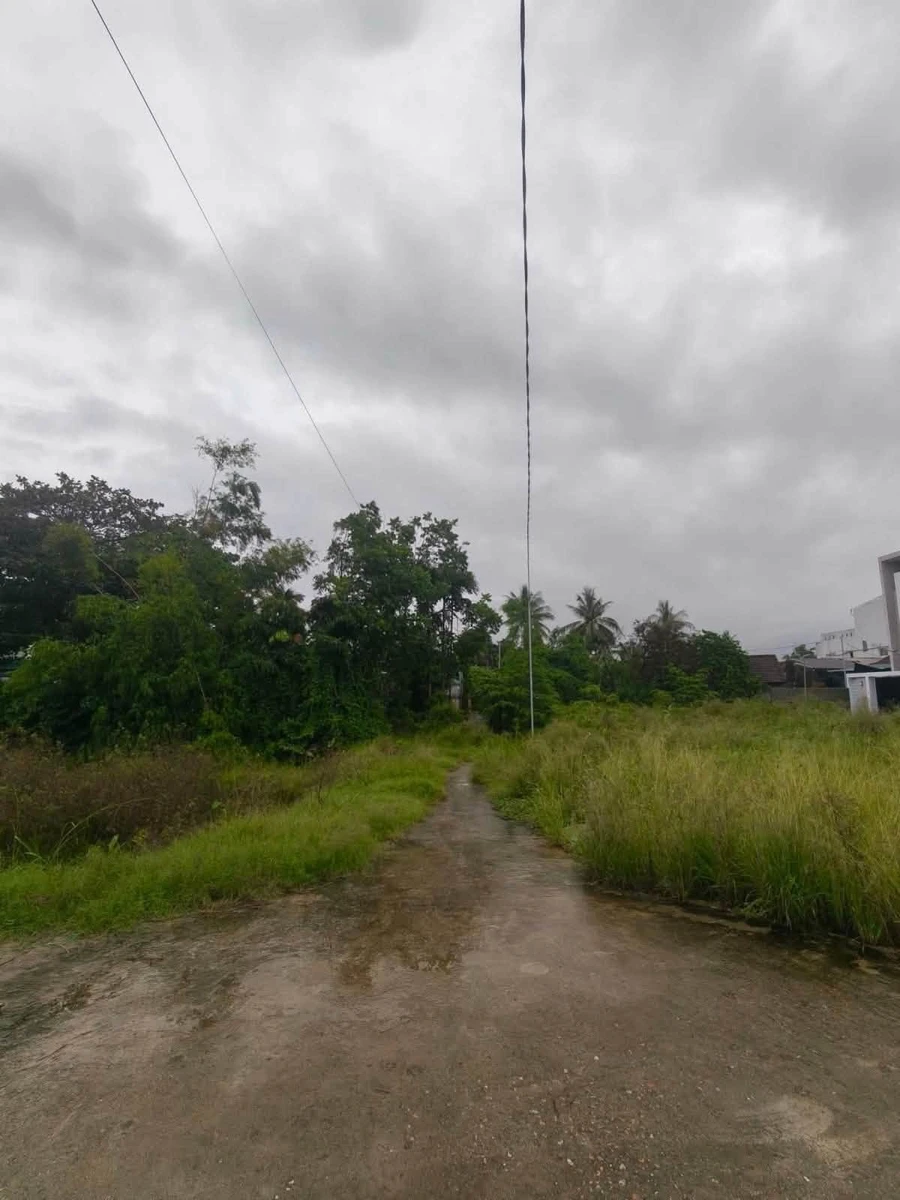 Bán đất góc view đồng lúa Mỹ Thượng, Huế – 81,7m² – 1.9 tỷ - Ảnh thu nhỏ 4