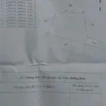 Bán đất 500m² xã Hồng Sơn, Lâm Đồng - Ảnh thu nhỏ 5