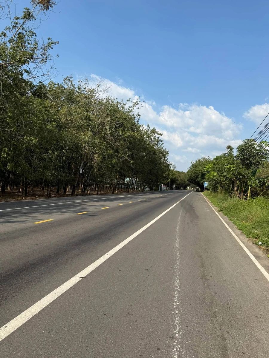 Bán đất 1 hectare mặt tiền Bến Cát, Bình Dương - Ảnh thu nhỏ 2