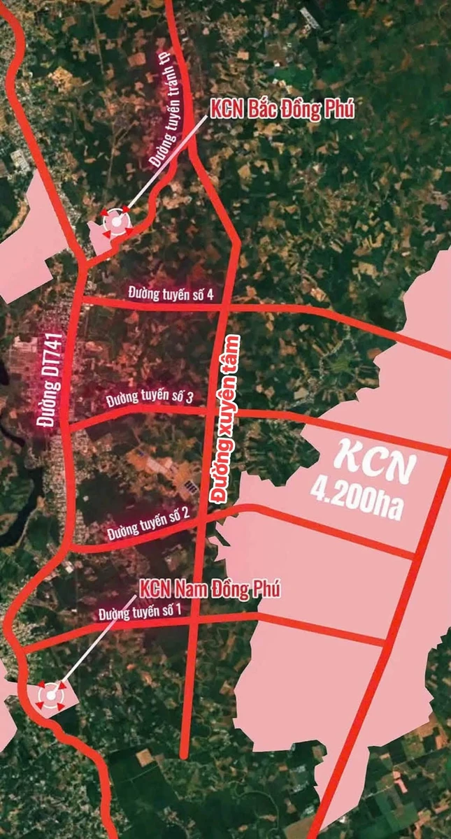 Bán đất mặt tiền Tuyến 4, 2 hecta, 4 tỷ tại Đồng Phú - Ảnh thu nhỏ 5