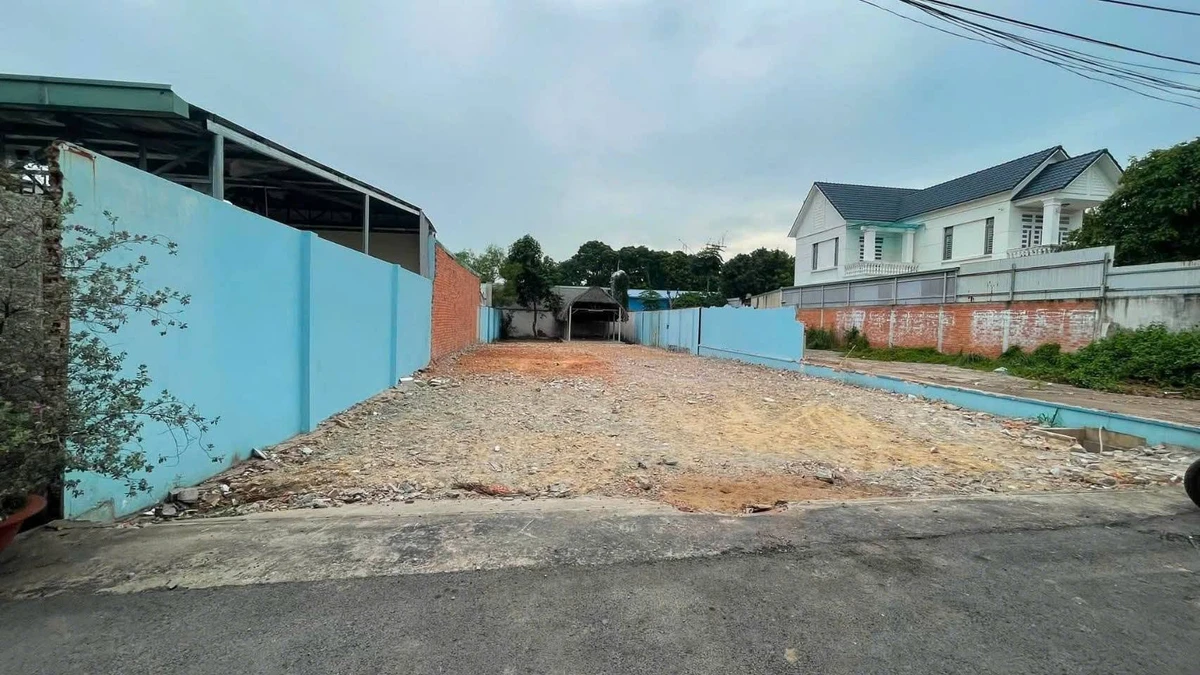 Bán đất 340m2 gần đường Lê Chí Dân, Phường Hiệp An, Thủ Dầu Một, Bình Dương - Ảnh thu nhỏ 3