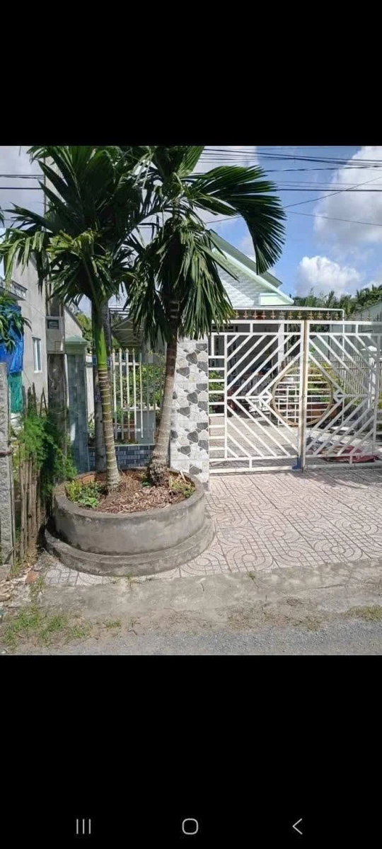 Bán đất nền 15×69m (1035m²) 1 tỷ 100 triệu Trà Vinh - Ảnh thu nhỏ 3