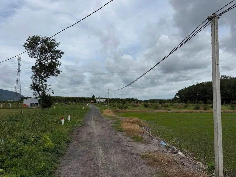 Bán 5 công đất Suối Đá Tây Ninh, 800 triệu