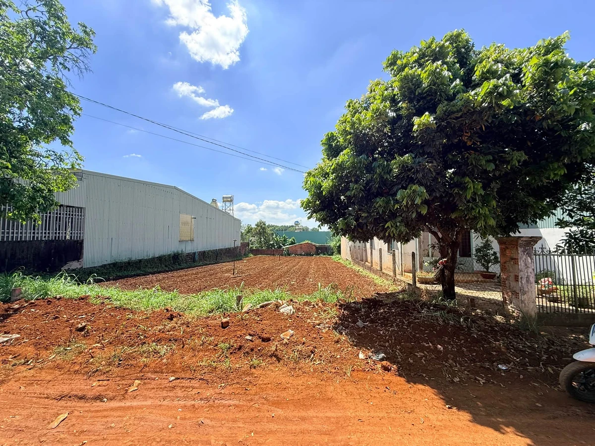 Bán đất hẻm 274 Lê Duẩn, 185m², 1 tỷ 4 Thủ Đức - Ảnh thu nhỏ 4