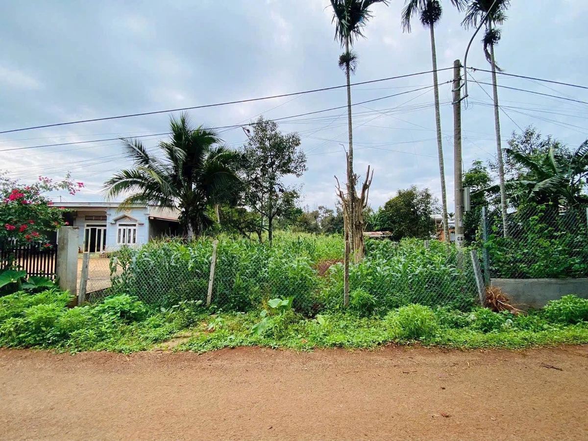 Bán lô đất Buôn Ju 500m2, giá 2 tỷ 990 triệu - Ảnh thu nhỏ 3