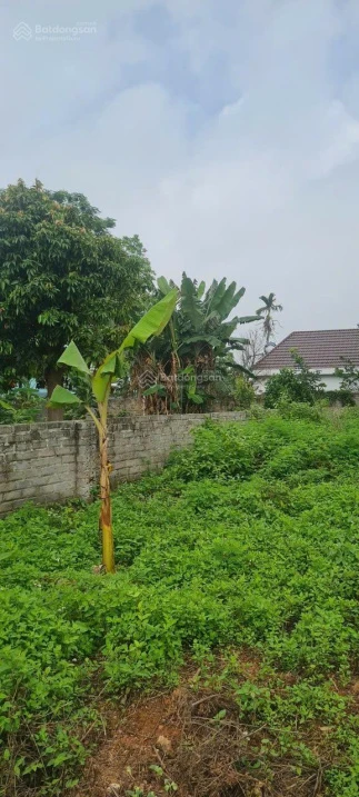 Đất giữa thị trấn Kép, Lạng Giang. 638m2 - Full thổ cư. Giá 3,5 tỷ - Ảnh thu nhỏ 4