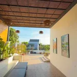 Bán nhà vườn 729m² Hàm Mỹ Bình Thuận 3,7 tỷ - Ảnh thu nhỏ 2