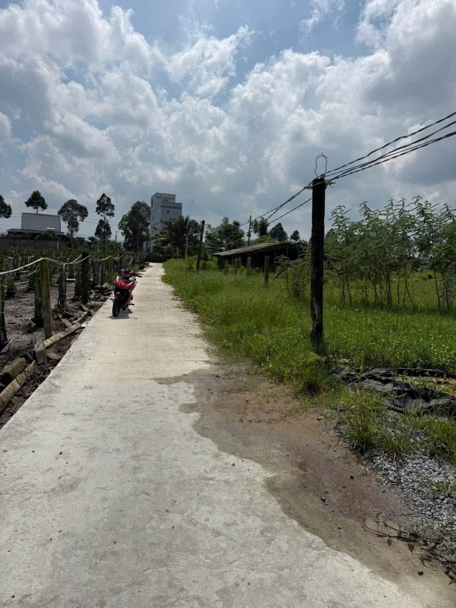Bán đất 1100m2 có sẵn ao cá, đường ô tô, xã Tầm Vu, Tây Ninh - Ảnh 1