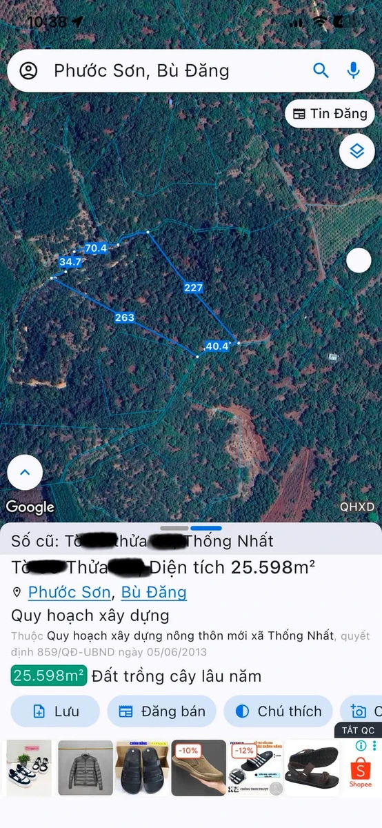 Bán đất điều đông 2.59 hecta, Đồng Nai, giá 1 tỷ 150 triệu/ha - Ảnh 1