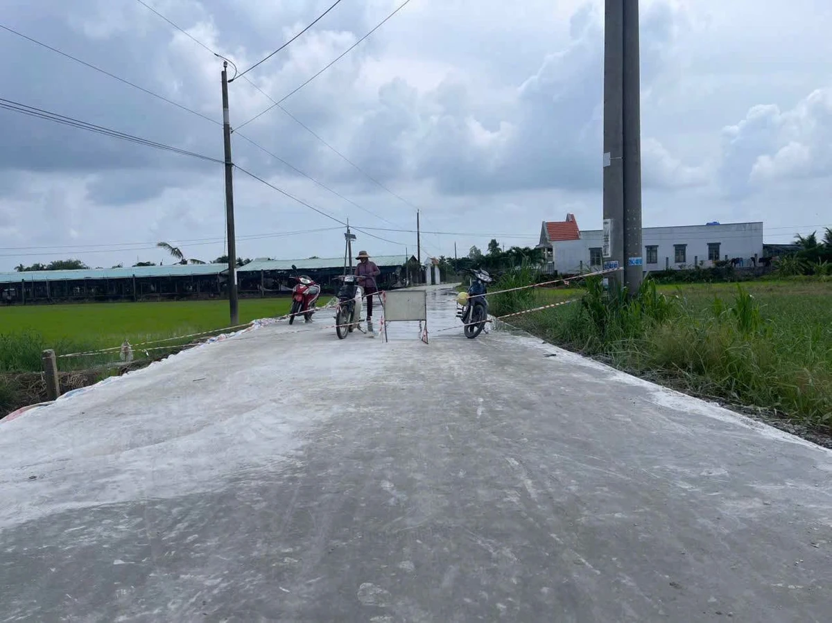 Bán đất thổ cư mặt tiền đường Huỳnh Ngọc Xinh, Tân Trụ, từ 480 triệu - Ảnh thu nhỏ 2