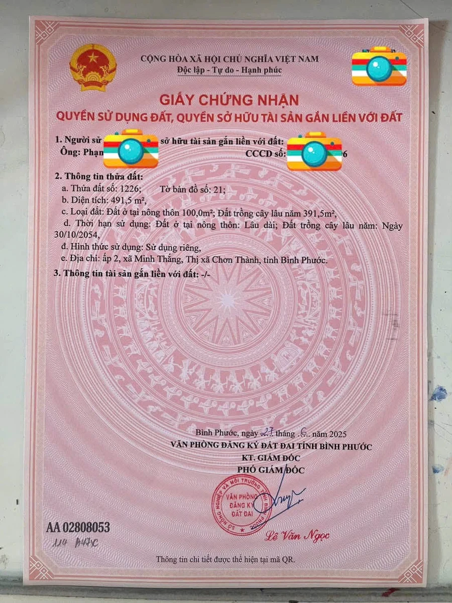 Bán đất mặt tiền 10m x 49m Minh Thắng 860 triệu - Ảnh thu nhỏ 5