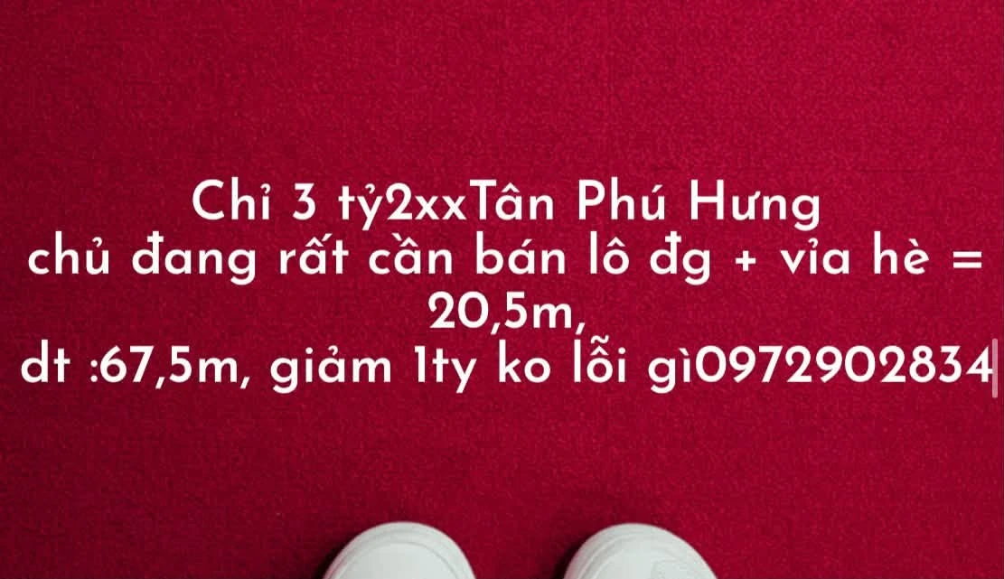 Bán đất đô thị Tân Phú Hưng 67,5m² mặt tiền 4,5m - Ảnh 1