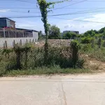 Bán đất vườn 500m² tại Ninh Phước, Khánh Hòa 600 triệu - Ảnh thu nhỏ 3