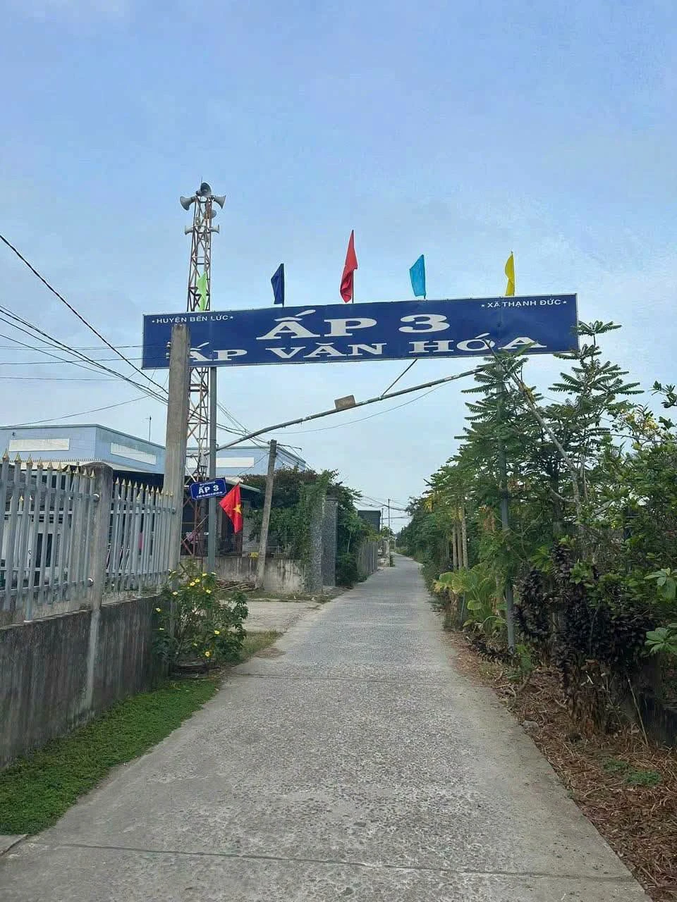 Bán lô đất 1990m² có thổ cư tại Bến Lức, Long An - Ảnh 1