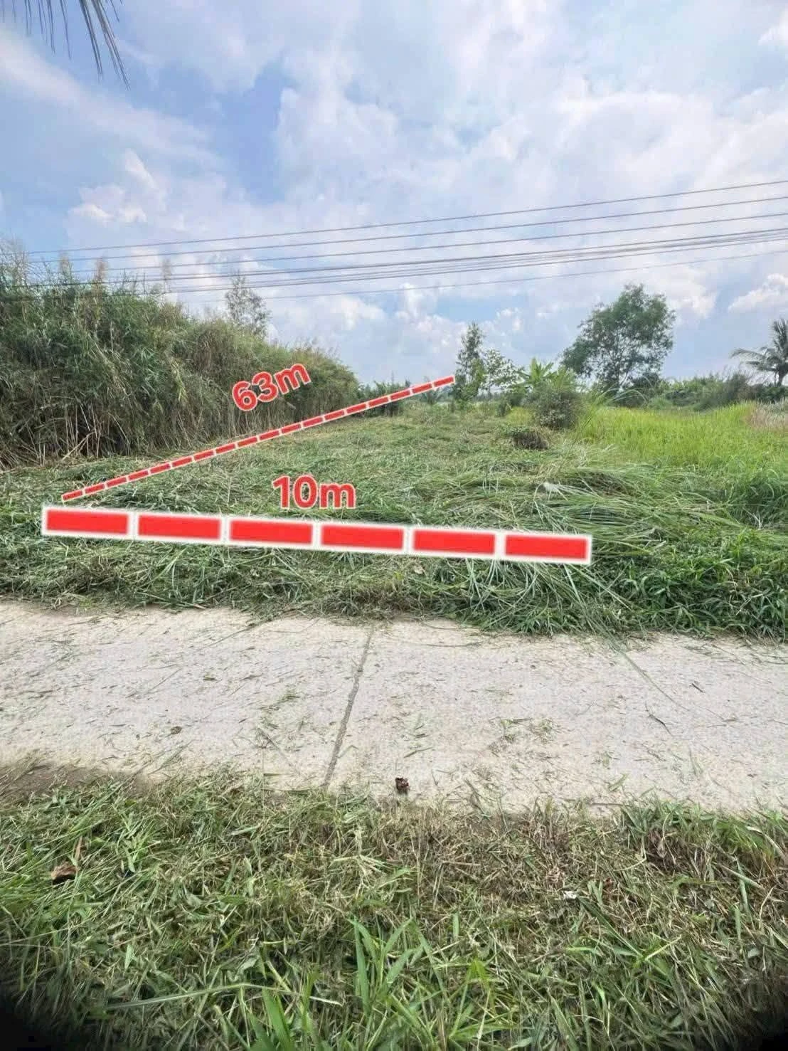 Bán đất làm nhà vườn 630m² Bình Chánh 850 triệu - Ảnh 1