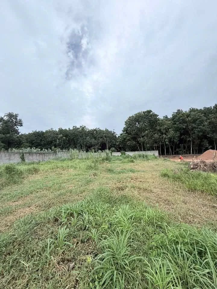 Bán đất mặt tiền Vĩnh Tân, Tân Bình, 2450m² - Ảnh 1