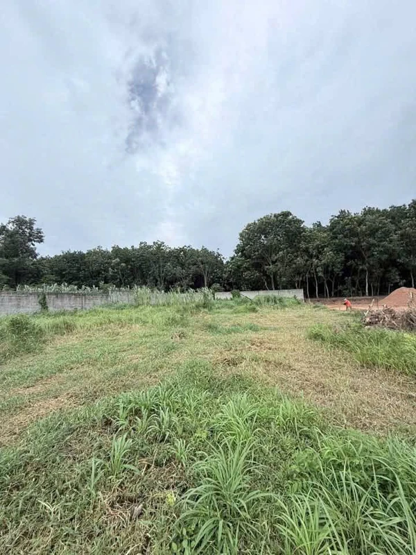 Bán đất mặt tiền Vĩnh Tân, Tân Bình, 2450m²