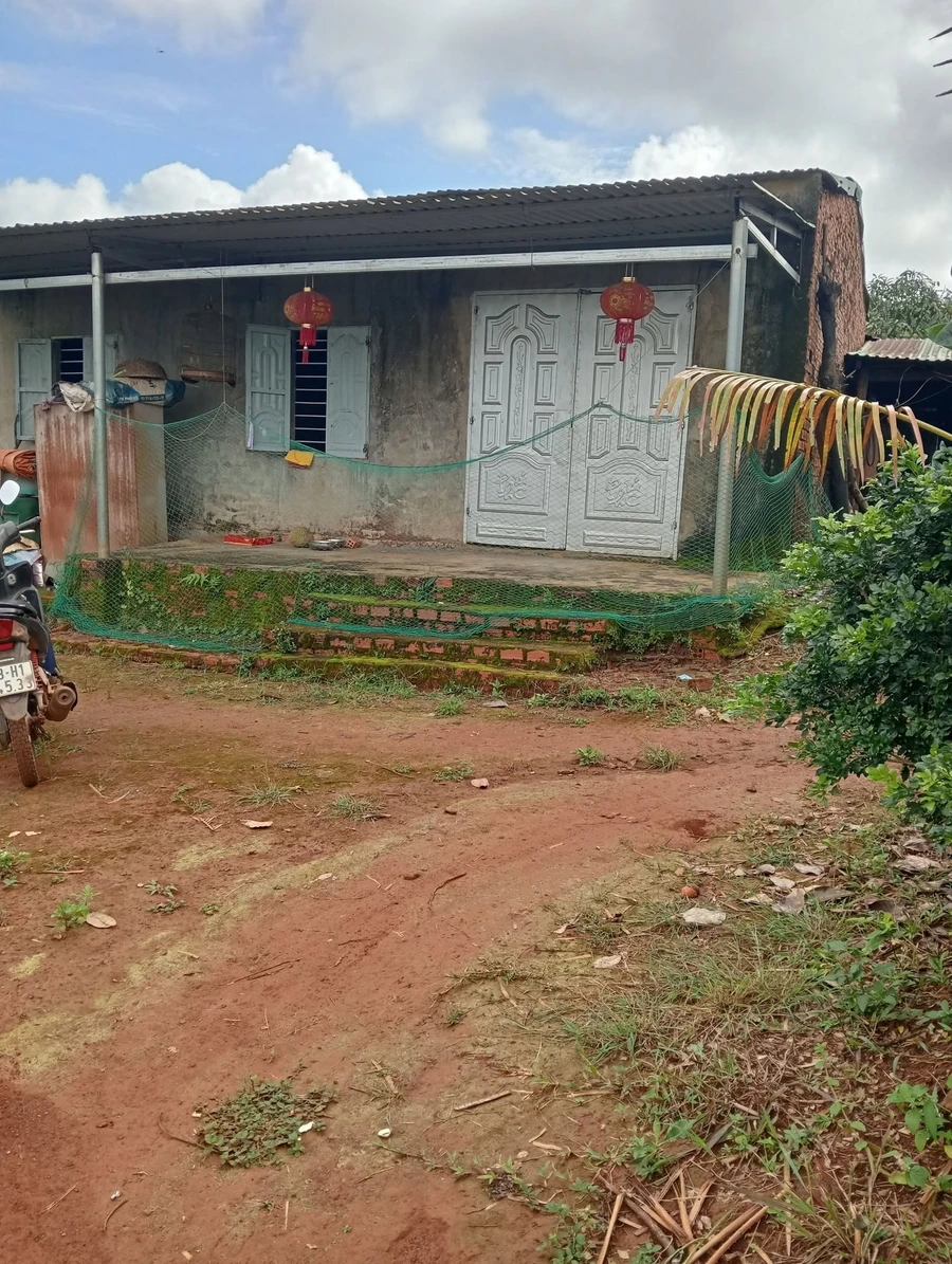 Bán rẫy 1,6 ha Tuy Đức, Đắk Nông - Ảnh 1