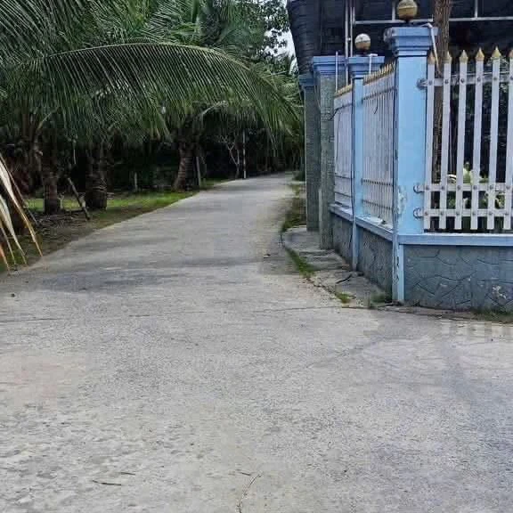 Bán đất 239 m2 gần cầu Rạch Miễu, Bình Dương - Ảnh 1