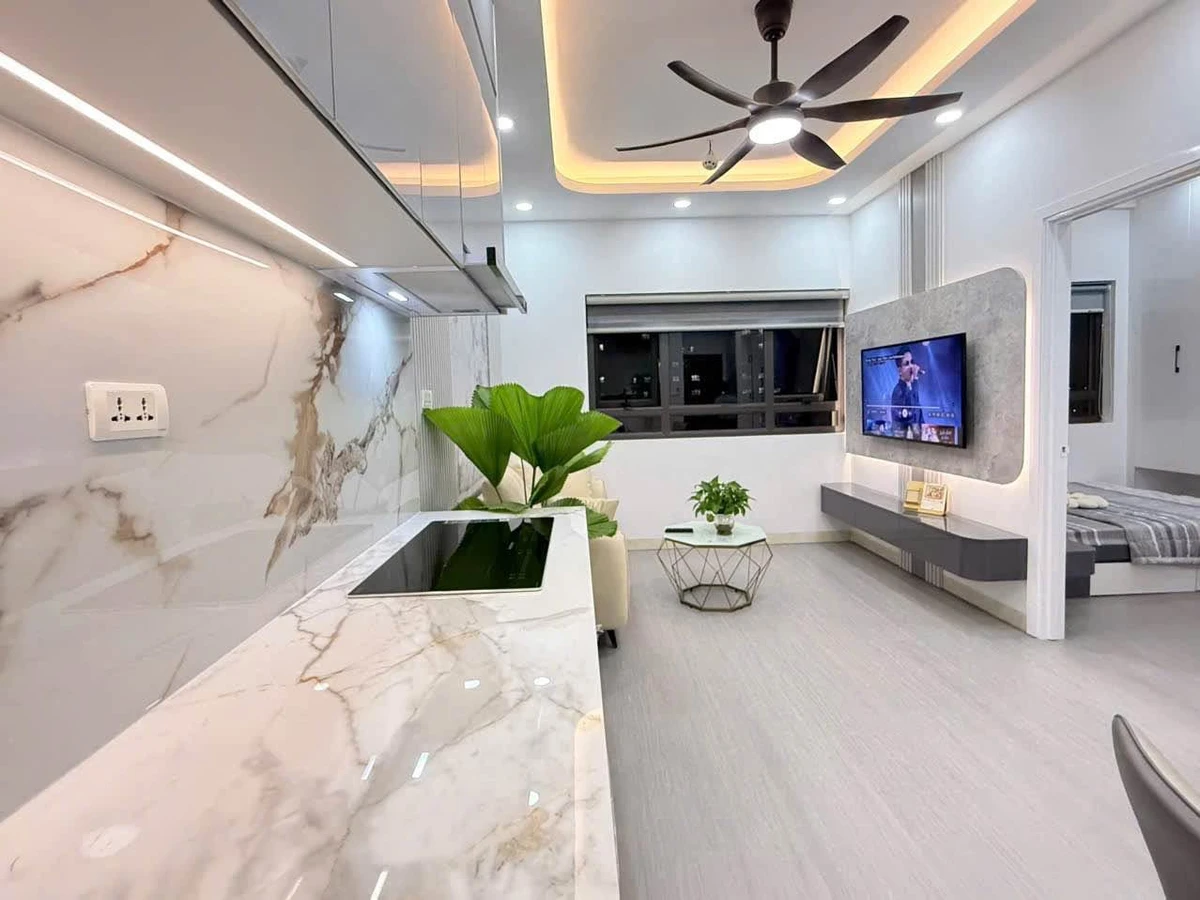 Bán căn hộ SSH09 2PN, 45m2, giá 2 tỷ 345 Quận 7 - Ảnh thu nhỏ 3
