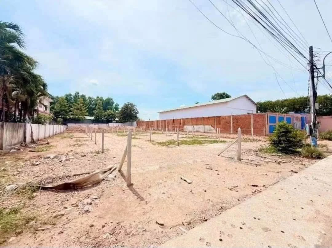 Bán lô đất thổ cư đường nhựa 12m giá 1,65 tỷ tại Phú An, Bến Cát - Ảnh thu nhỏ 2