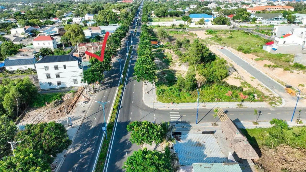 Bán đất mặt tiền Nguyễn Văn Linh, Phước Hải, 246m2, gần biển 800m - Ảnh thu nhỏ 3