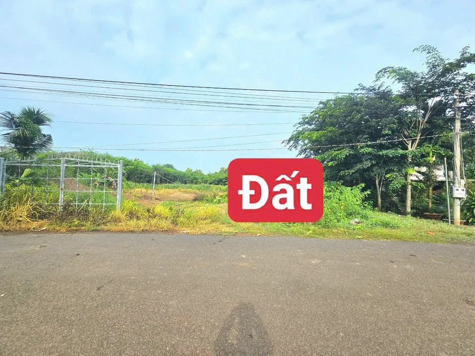 Bán đất Thạnh Lương Bình Long 10m² giá 449 triệu - Ảnh thu nhỏ 2