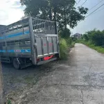 Bán đất 210m2 có nhà cấp 4 Hàm Mỹ Phan Thiết - Ảnh thu nhỏ 2