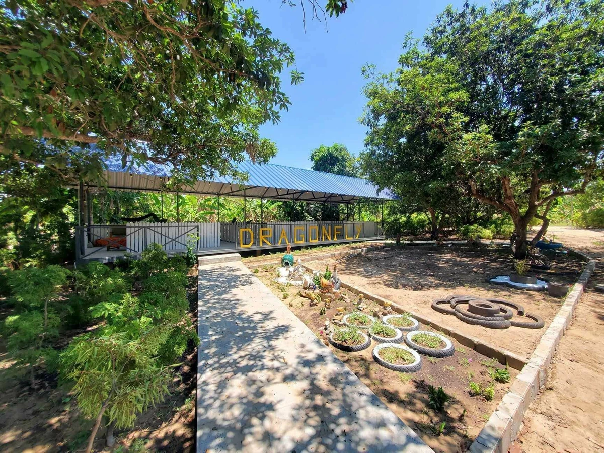 Bán 2ha đất biển Tuy Phong, Bình Thuận, 900k/m² - Ảnh thu nhỏ 5