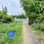 Bán đất thổ cư 124m² Tây Ninh, Cần Đước - Ảnh thu nhỏ 3