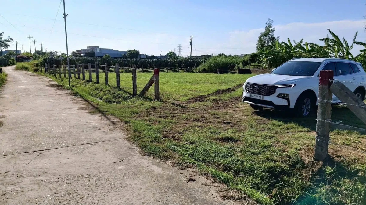 Bán đất CLN Phường Bình Thuận 732m² 750 triệu - Ảnh 1
