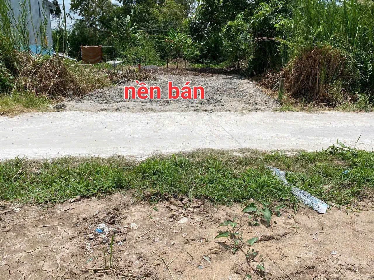 Bán nền đất Cái Dầy 100,5m² - 300 triệu - Ảnh thu nhỏ 3