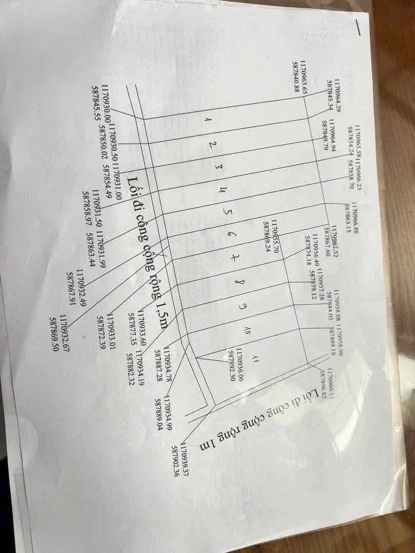 Bán 2 lô đất nên 115m² Phước Vân, Cần Đước, Long An - Ảnh thu nhỏ 3
