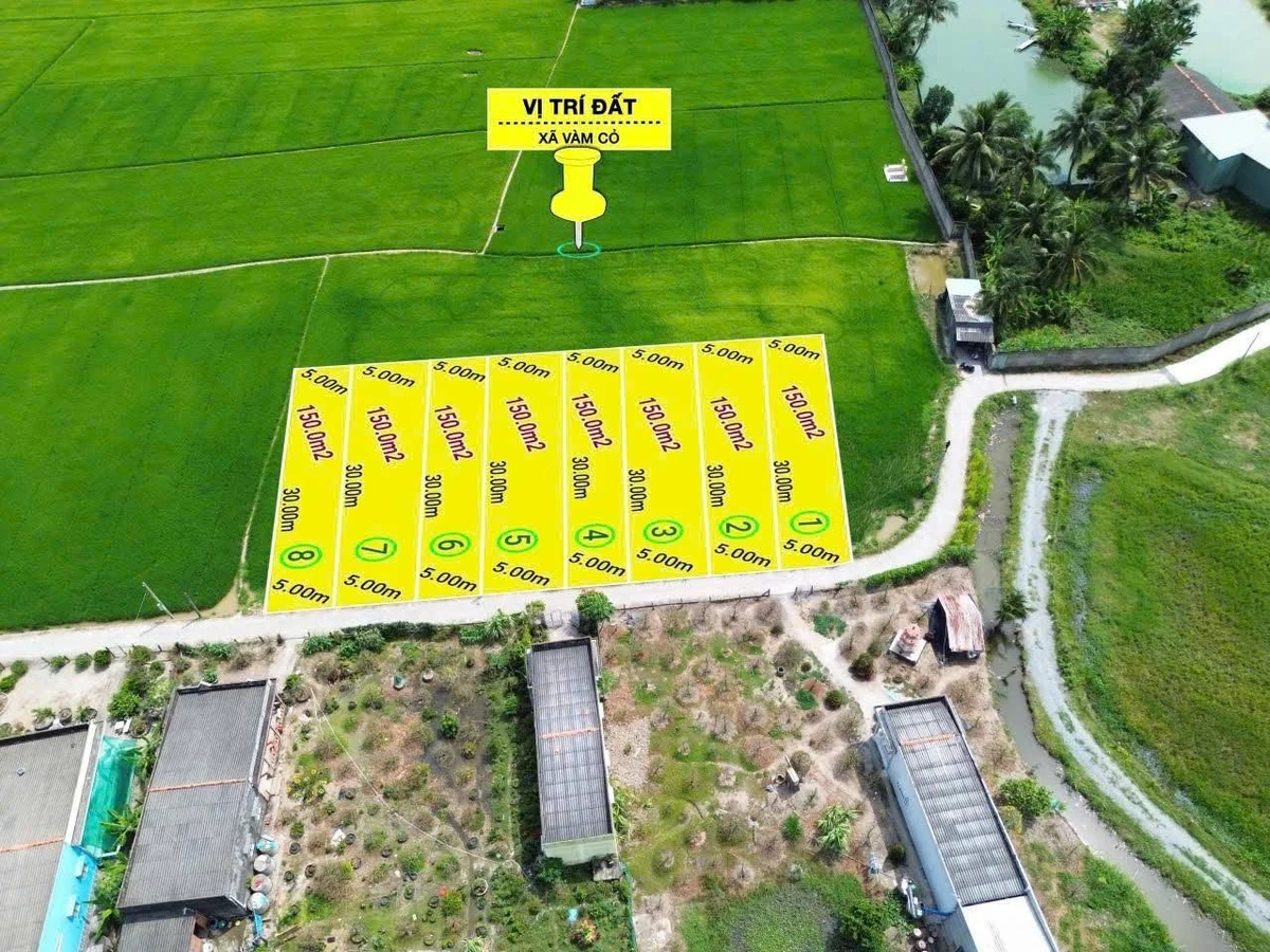 Bán đất thổ cư 150m² Huyện Tân Trụ Tây Ninh 399 triệu - Ảnh thu nhỏ 3