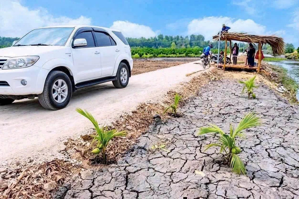 Bán đất vườn view kênh 500m2 Bến Lức Long An 575 triệu - Ảnh thu nhỏ 3