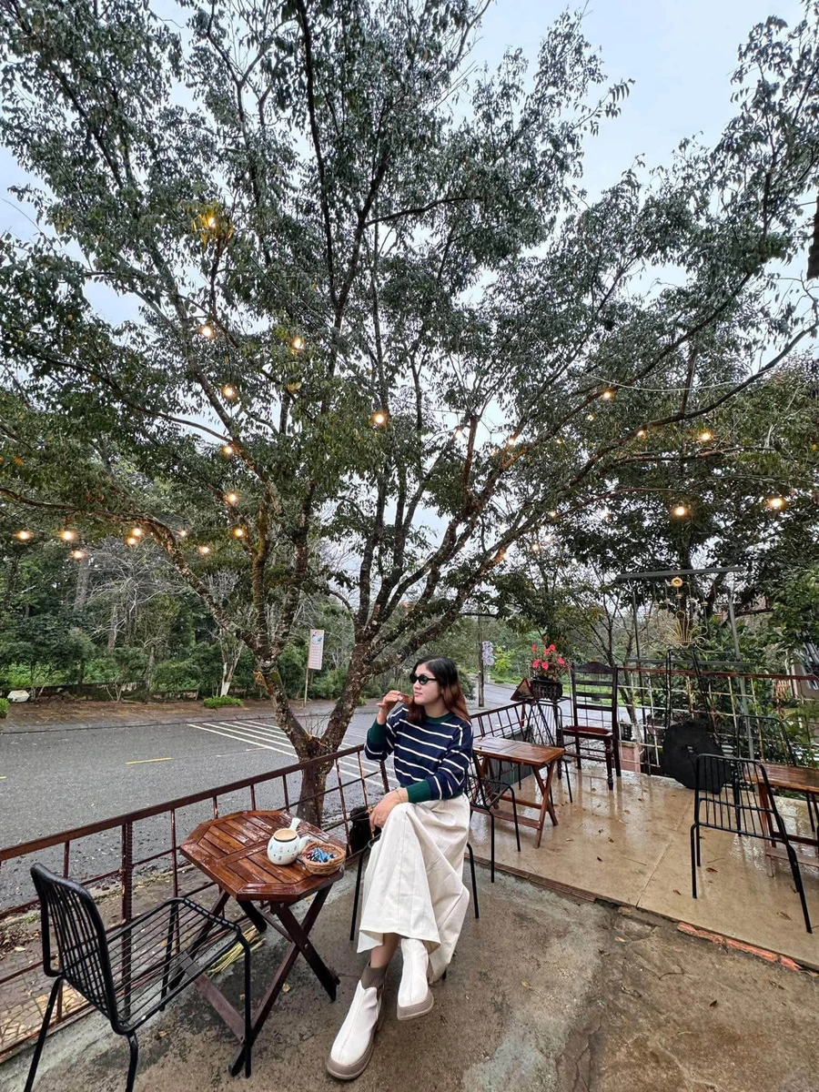 Bán đất Măng Đen 500m² view suối, Kon Tum - Ảnh thu nhỏ 2
