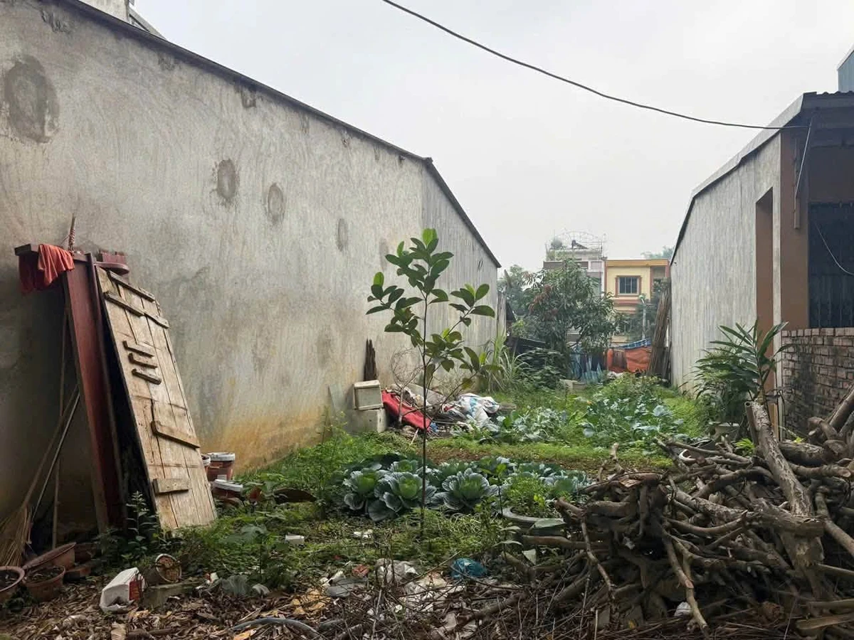 Bán lô đất 100m² đường Trần Phú, Bình Tân, 2.8 tỷ - Ảnh thu nhỏ 3