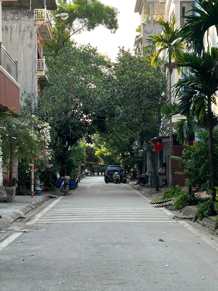 Bán đất Lĩnh Nam - Tam Trinh - 70m2 - 20 tỷ - Ảnh 1