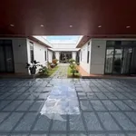 Bán nhà sân vườn 905m² 3 PN 5 WC Bến Tre 8 tỷ 500 triệu - Ảnh thu nhỏ 4