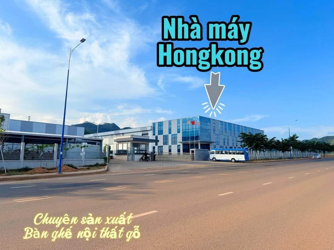 Bán đất 150m2 tại Becamex Vsip Bình Định, giá 1 tỷ - Ảnh thu nhỏ 3