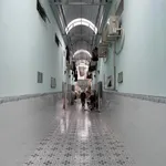 Bán nhà trọ Mỹ Phước 3, 150m², 2,55 tỷ - Ảnh thu nhỏ 4
