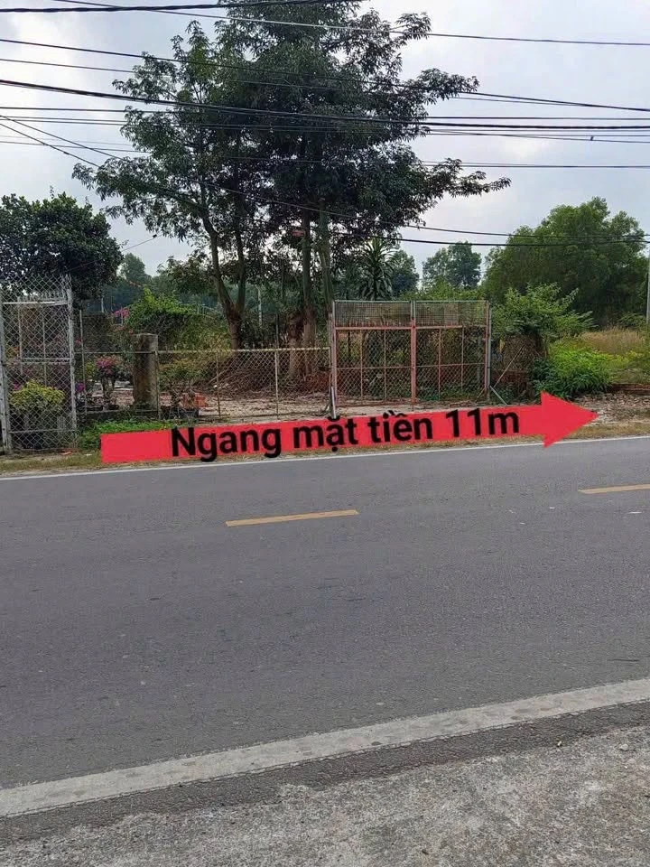 Bán đất mặt tiền Hùng Vương 505m2 (150m2 thổ cư) xã Phú Đông, Nhà Bè - Ảnh thu nhỏ 2