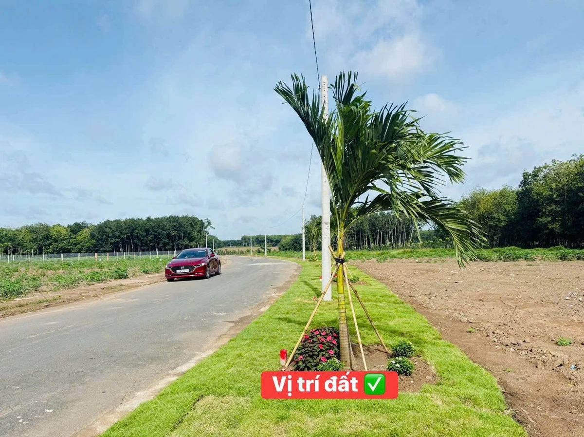 Bán đất nền 100m2 Minh Lập Chơn Thành Đồng Nai 380 triệu - Ảnh 1