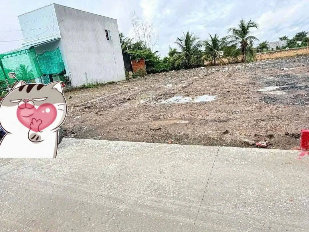 Bán đất thổ cư 175m² Tân Bửu, Bến Lức, Long An - Ảnh thu nhỏ 2