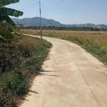 Bán đất 800m2 Suối Hiệp Nha Trang 350 triệu - Ảnh thu nhỏ 2