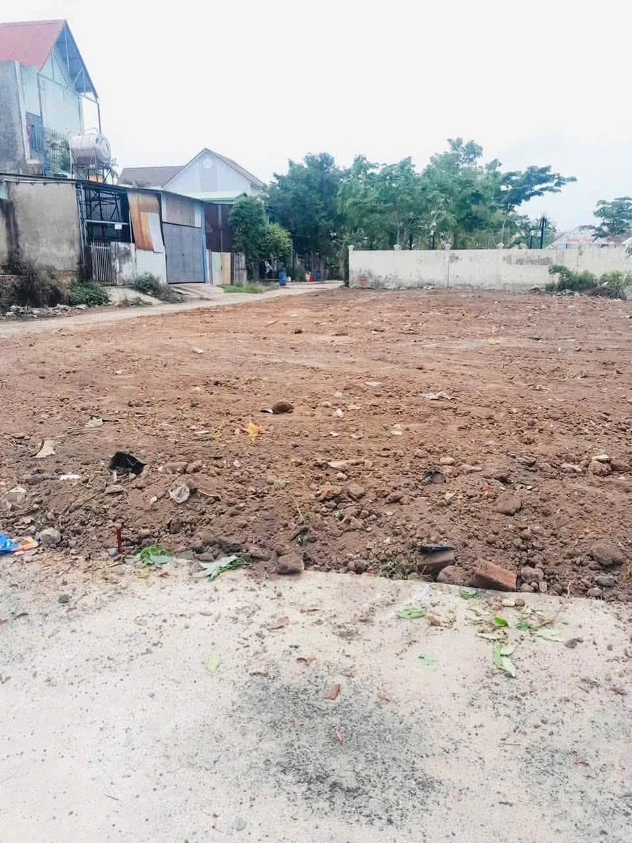 Bán lô góc 10x30m (300m²) 2 tỷ 250 tại Bình Dương - Ảnh thu nhỏ 5