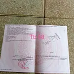 Bán đất Tân Bình 185m2 1.7 tỷ Bình Mỹ Vĩnh Tân - Ảnh thu nhỏ 4