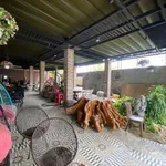 Cho thuê mặt bằng kinh doanh 250m² mặt tiền Đường 3/2, Rạch Giá 15 triệu/tháng - Ảnh thu nhỏ 3