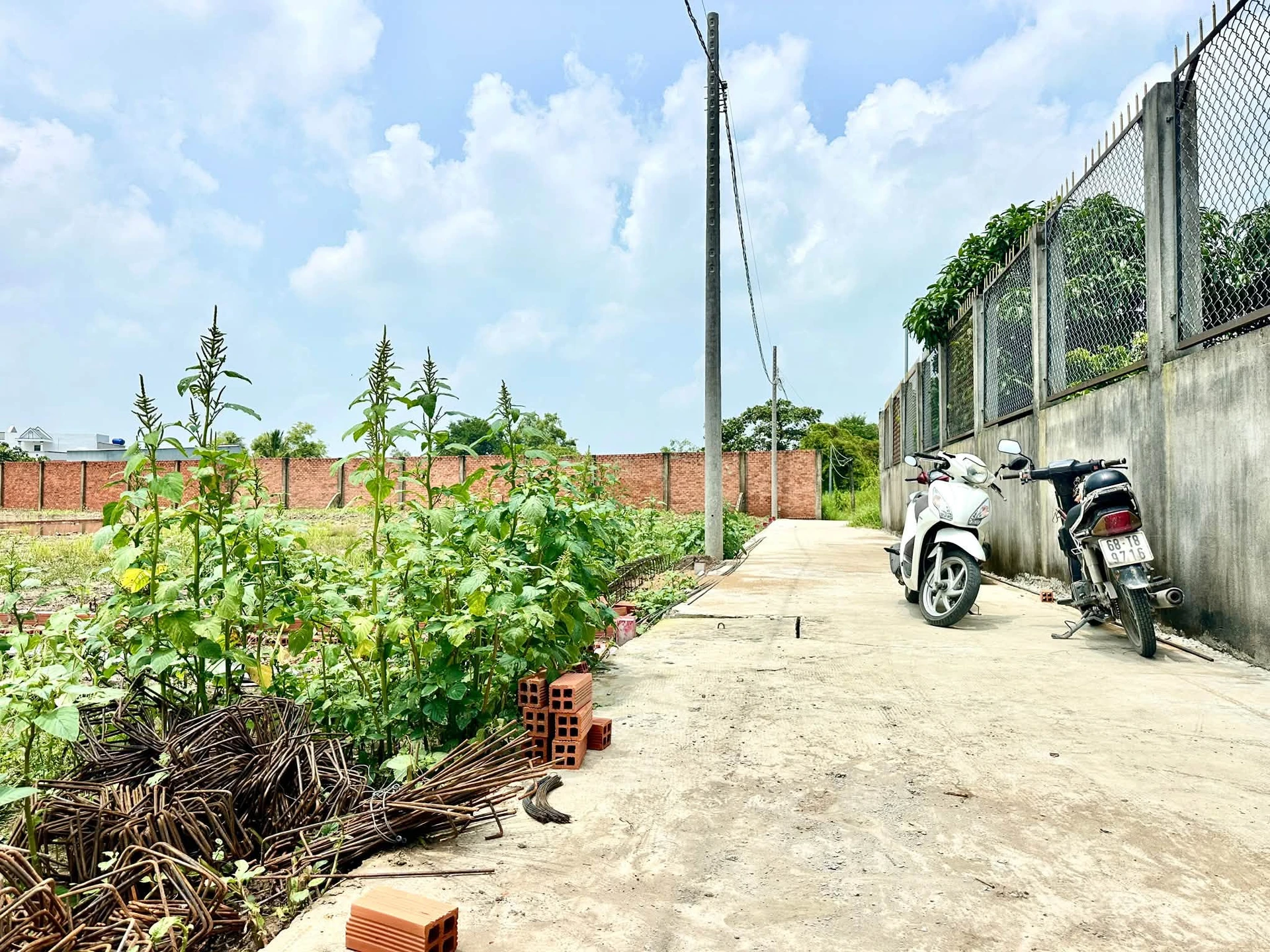 Bán đất nền sổ riêng 105m2 Mỹ Lộc, Tây Ninh (Phước Lâm, Cần Giuộc cũ) giá 780 triệu - Ảnh 1