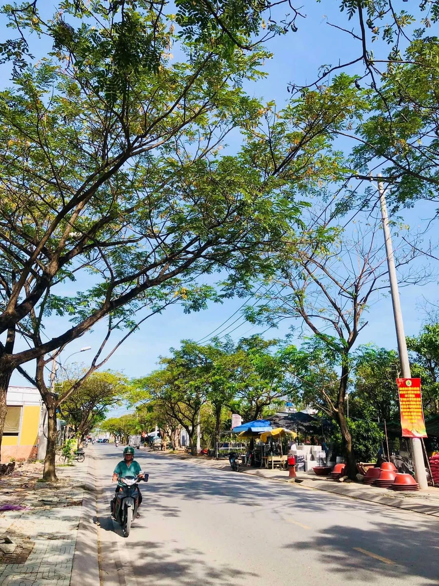 Bán gấp 6000m2 đất mặt tiền Lê Văn Lương, Nguyễn Bình, Nhà Bè giá 45 tỷ - Ảnh 1